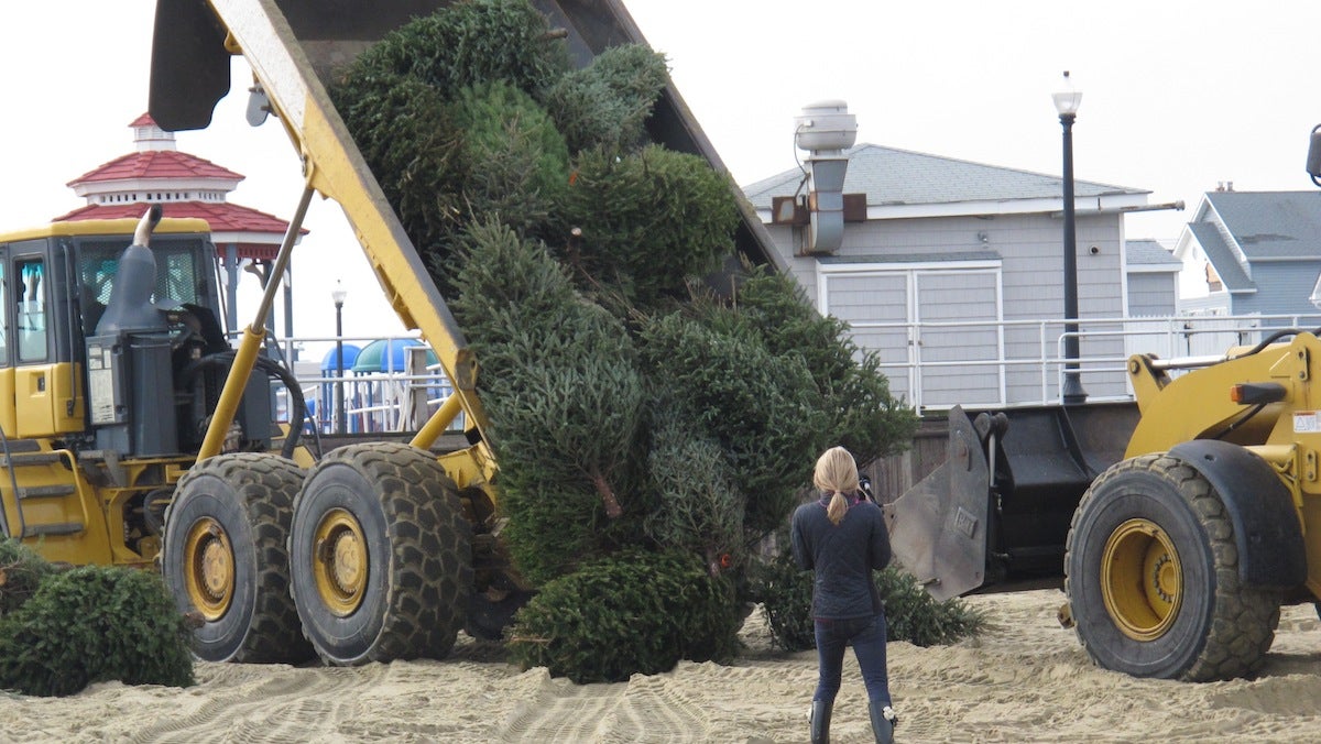 Holidays-Recycling Christmas Trees (AP Photo/Wayne Parry)