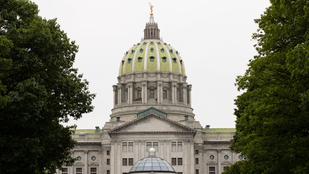  Two Pennsylvania lawmakers have initiated the  process involved with holding a constitutional convention. The process would take at least two years. (Matt Rourke/AP) 