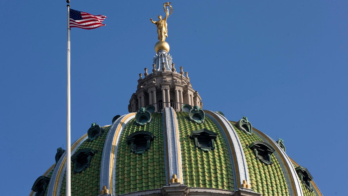 Members of the Pennsylvania Senate Judiciary Committee will hear arguments on the constitutionality of abolishing the criminal statute of limitations for all future crimes of child sexual abuse at a Monday hearing at the state Capitol. (AP Photo/Matt Rourke)