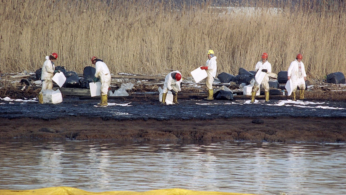  In January 1990, cleanup workers lay down absorbent sheets to soak up heating oil on bird sanctuary Pralls Island between Linden, New Jersey, and Staten Island, New York. Up to 567,000 gallons of oil leaked from an underwater Exxon pipeline into the Arthur Kill waterway. As New Jersey nears a settlement with Exxon over environmental damage at that site and others, critics argue the proposed $225 million pales in comparison with the $8.9 billion in damages the administration sought at trial last year. (AP file photo) 