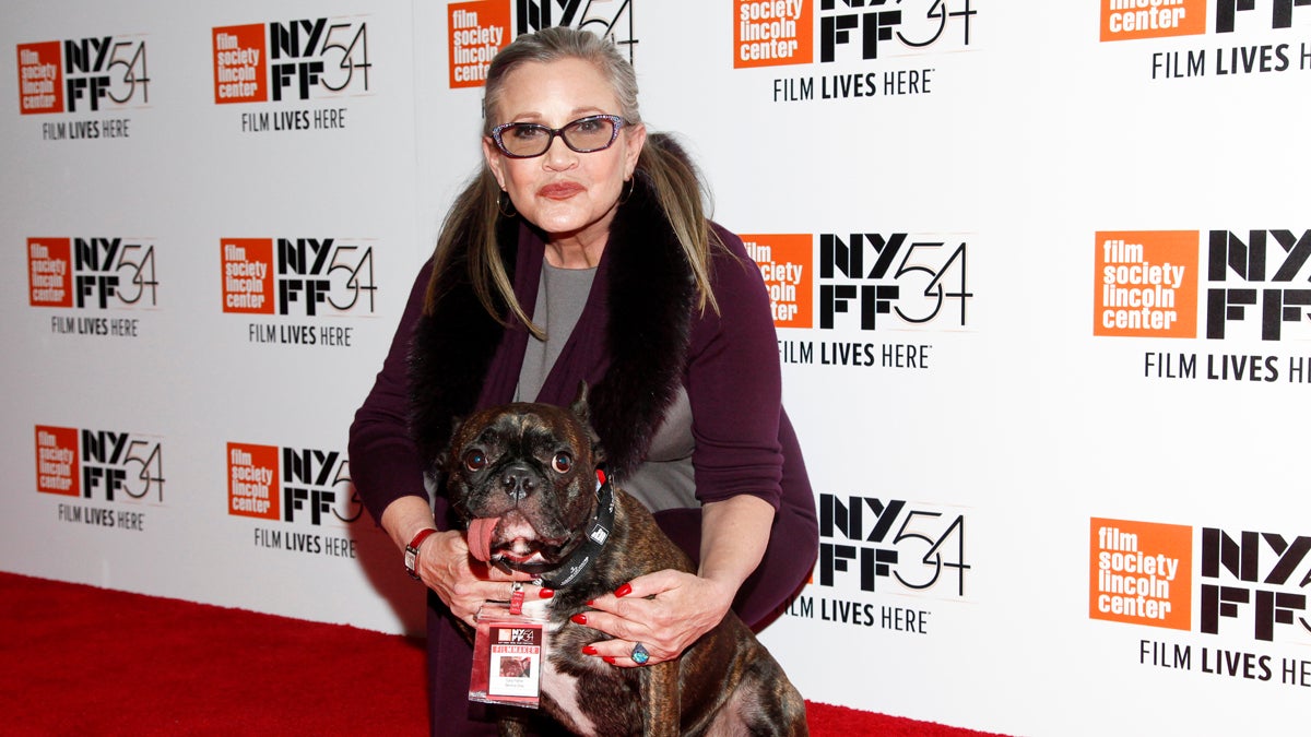  Actress Carrie Fisher attends a special screening of, 'Bright Lights: Starring Carrie Fisher and Debbie Reynolds', at Alice Tully Hall on Monday, Oct. 10, 2016, in New York. (Photo by Andy Kropa/Invision/AP) 