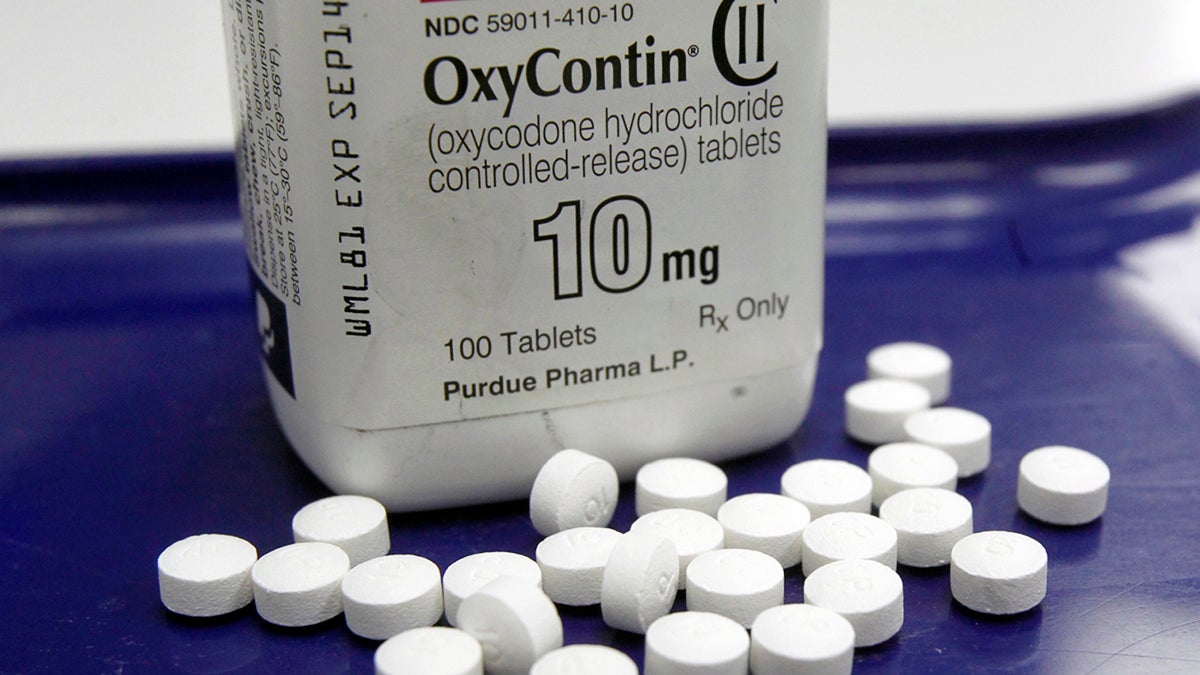 This Feb. 19, 2013, file photo, shows OxyContin pills arranged for a photo at a pharmacy. (Toby Talbot/AP Photo) 