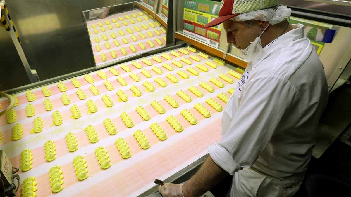 In this Wednesday, Feb. 13, 2013 photo, Roger Hildebeitel inspects Peeps as they move through the manufacturing process at the Just Born factory in Bethlehem, Pa. With the storied candy brand celebrating its 60th anniversary this year, a quirky new TV ad campaign talks about all the things people do with their Peeps. (AP Photo/Matt Rourke)