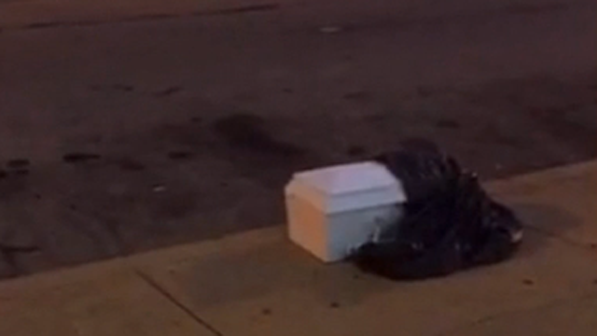  A coffin containing the internal organs of a baby was discovered on the sidewalk near a North Philadelphia cemetery on Monday night. (Screenshot taken from ABC6 video, below) 