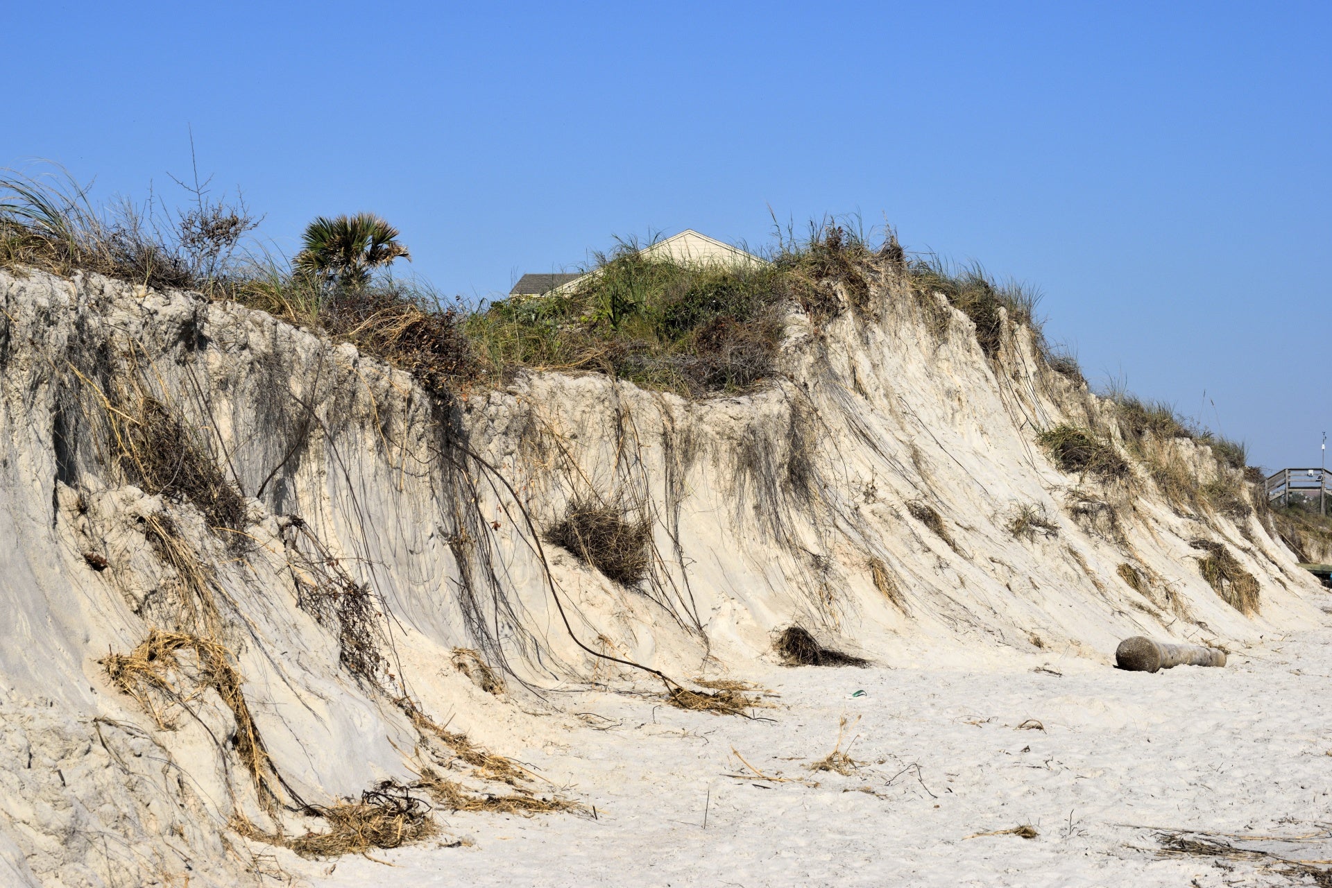  An eroded dune. (Public domain image) 