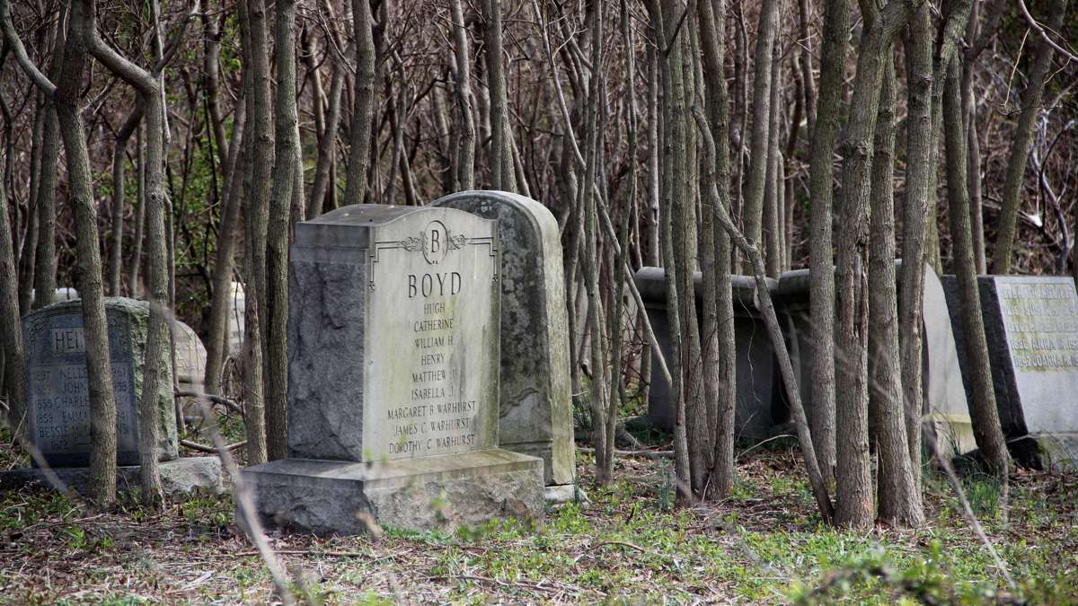 Mount Moriah Cemetery has seen years of neglect. (Emma Lee/WHYY)