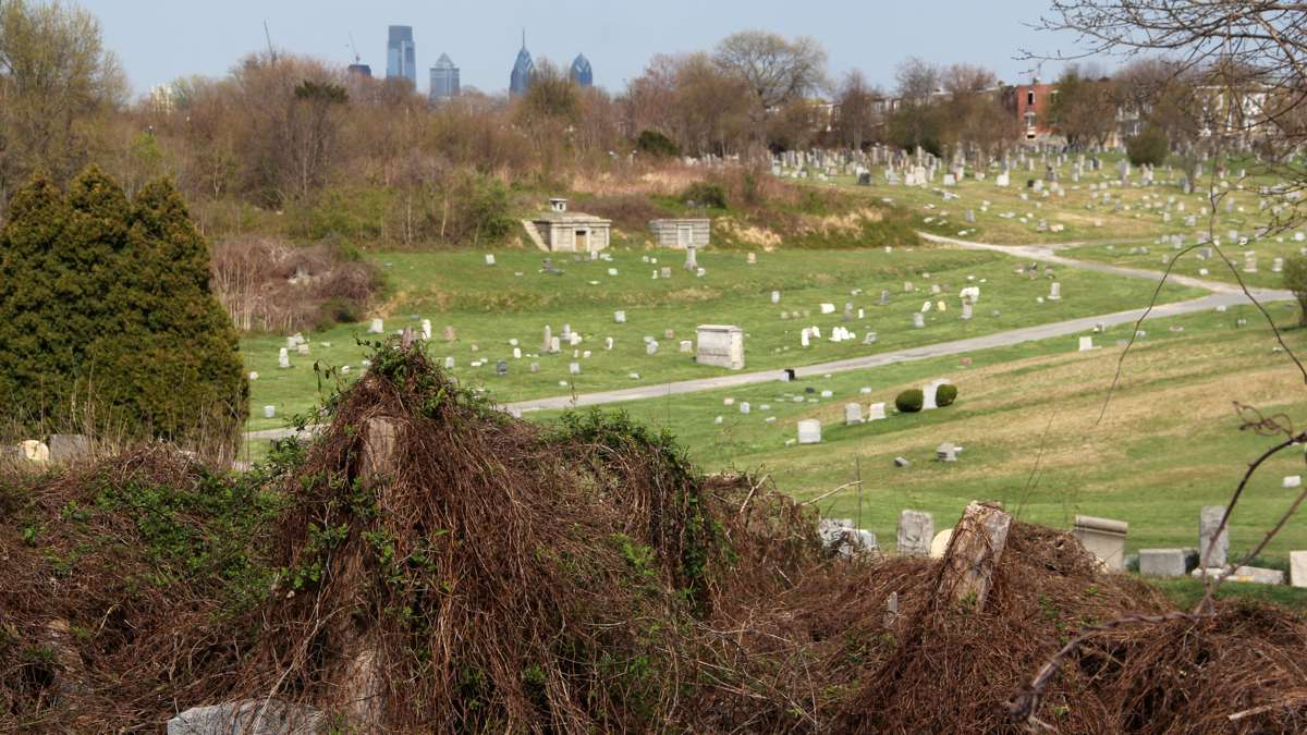 Mount Moriah covers 380 acres in Philadelphia and the bordering Borough of Yeadon, making it the largest cemetery in Pennsylvania. (Emma Lee/WHYY)