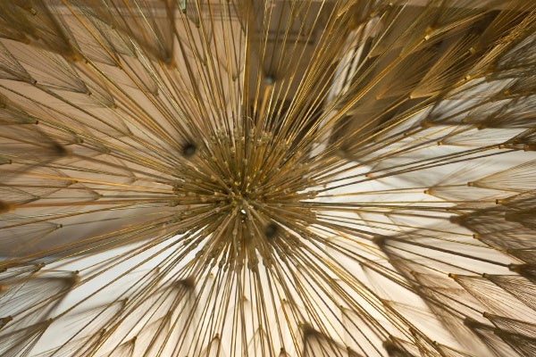 A dandelion hanging sculpture in the shape of a sphere hangs at the Knoll furniture company in East Greenville, Pa.  (Charlie Kaier/WHYY) 