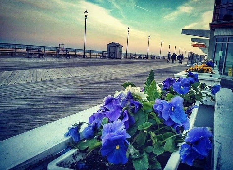  Flowers along the Asbury Park boardwalk by @visual.arguments as tagged #JSHN on Instagram.  