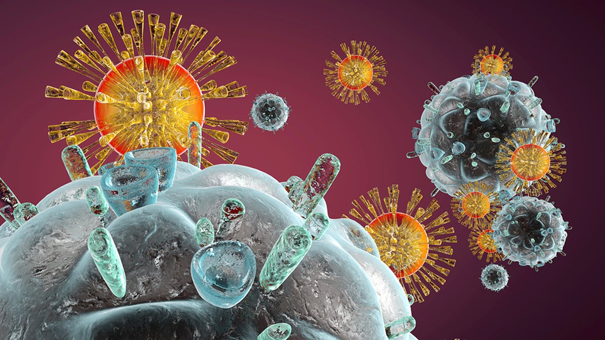  3D illustration of immune system cells attacking a HIV virus (Spectral-Design/Bigstock) 