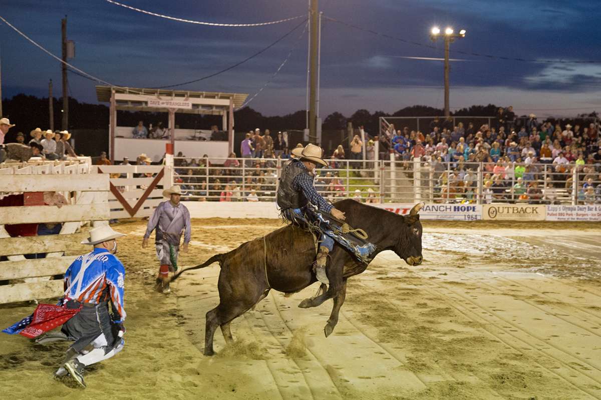 A bull has about six moves and the challenge to riding is reacting to the succession of moves said veteran rider Troy Alexander. (Lindsay Lazarski/WHYY)