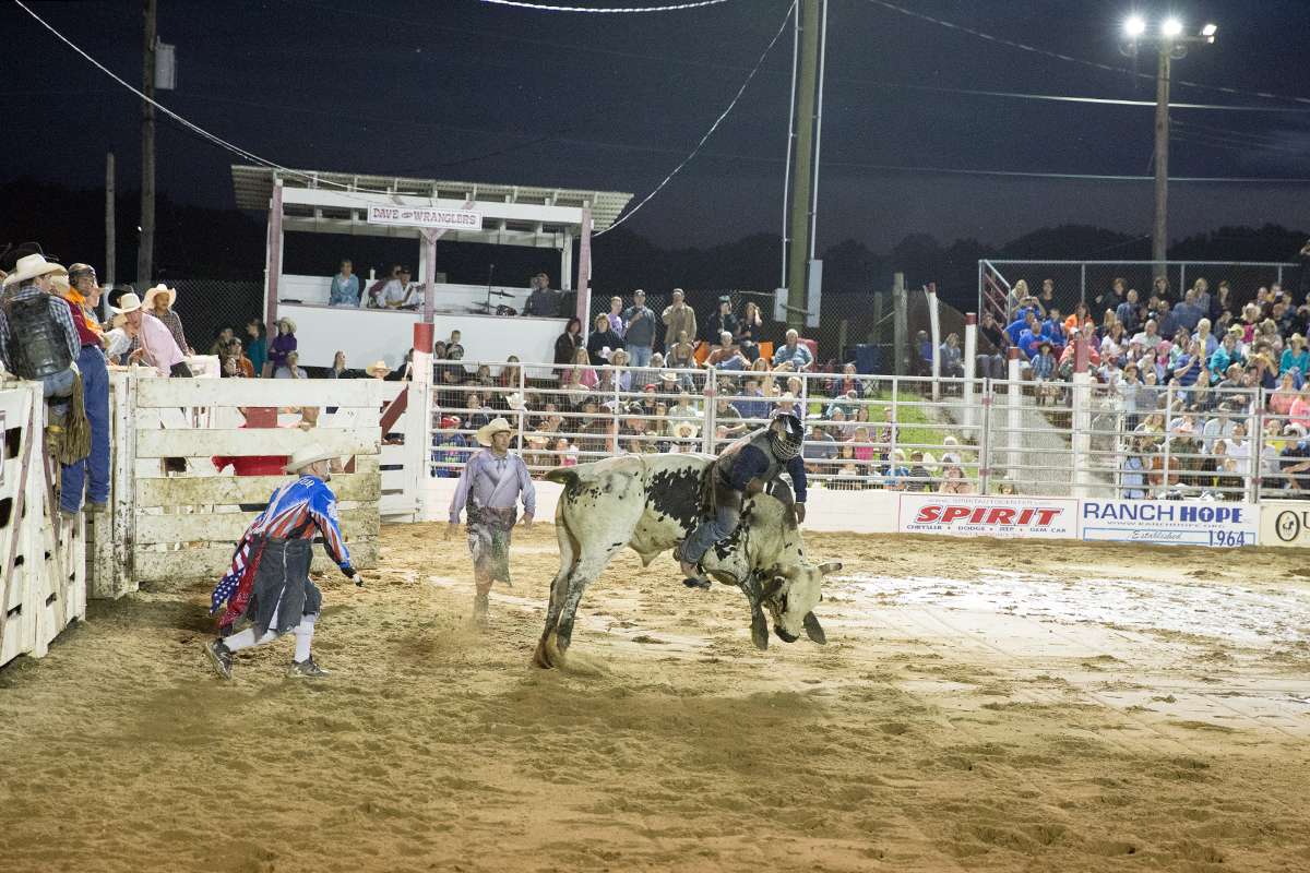 Troy Alexander hangs on during the bull riding competition at the Cowtown Rodeo. (Lindsay Lazarski/ WHYY)