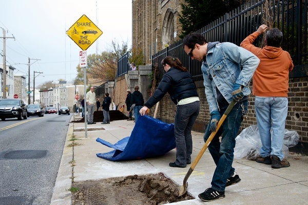 <p><p>The Roxborough-Manayunk-Wissahickon Tree Tenders plant trees along Umbria Street with students from James Dobson Elementary (Bas Slabbers/for NewsWorks). </p></p>
