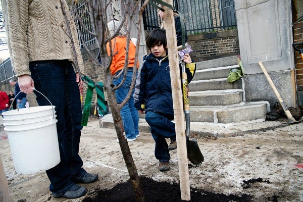 <p><p>Jaden watches how the newly-planted tree is "drinking the water," as he describes it. (Bas Slabbers/for NewsWorks)</p></p>
