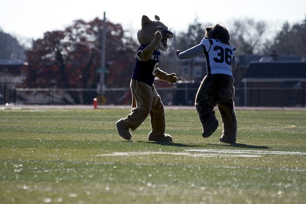<p><p>The Germantown Bear and MLK Cougar take the field at halftime. (Bas Slabbers/for NewsWorks)</p></p>
