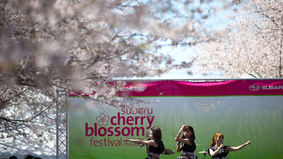 Thousands celebrate Japanese culture under picture-perfect weather conditions during the 20th annual Cherry Blossom Festival in Fairmount Park on Sunday.