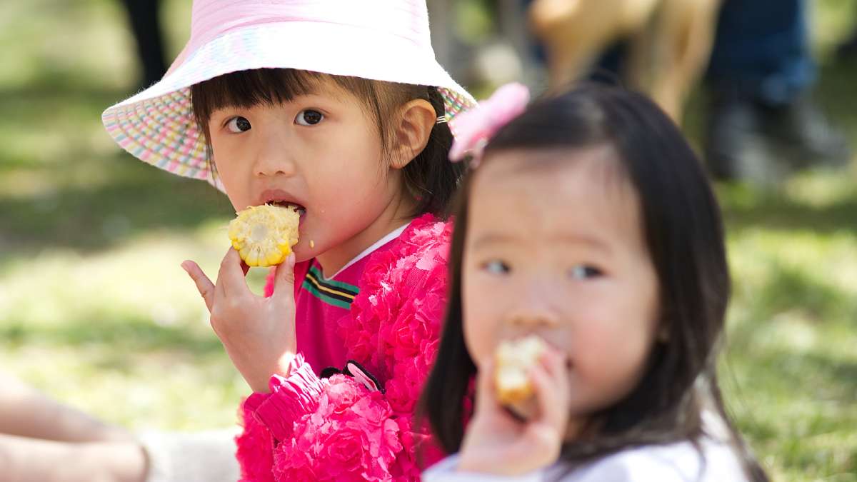 Ruochen Lu and Vivian Wu are among a group picnicking under the sakura trees during the annual Cherry Blossom Festival in Fairmount Park on Sunday.