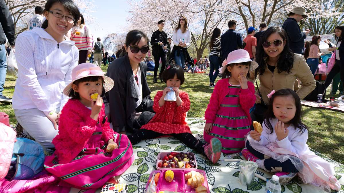 Ruoxi Lu, Kathy Yu, Ruochen Lu and Vivian Wu are among a group picnicking under the sakura trees during the annual Cherry Blossom Festival in Fairmount Park on Sunday.