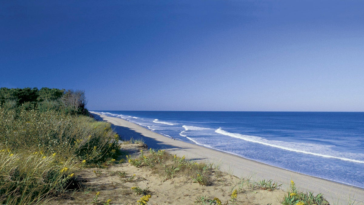  (AP Photo/Cape Cod Chamber of Commerce, Margo Tabb, File) 