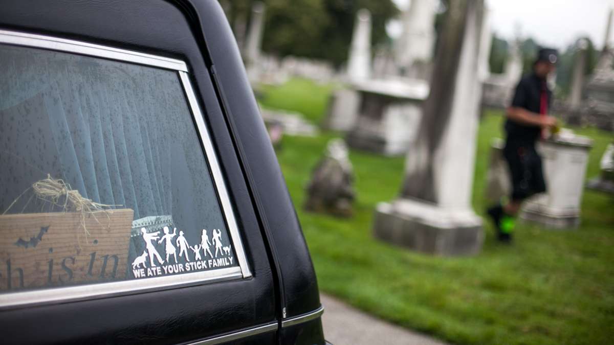 A zombie-themed decal adorns the window of a Cadillac hearse. (Brad Larrison for NewsWorks)