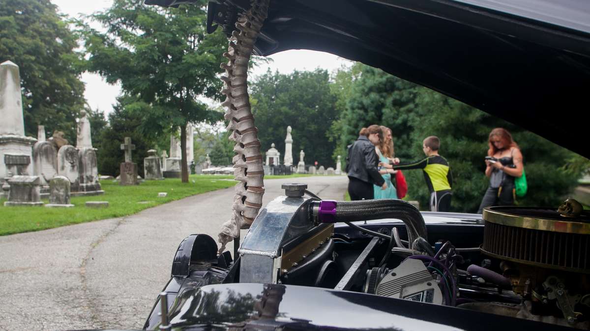 A model of a human spinal cord is used to prop the hood of a 1947 Pontiac Superior hearse. (Brad Larrison For NewsWorks)