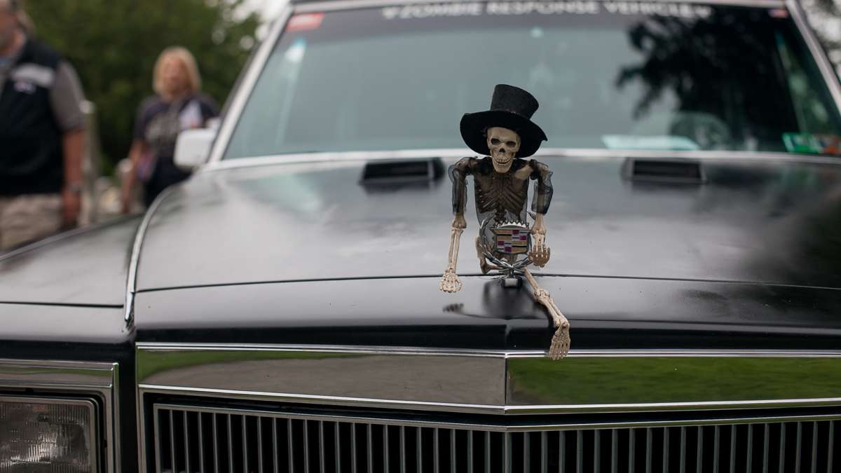 A skeleton embellishes the hood ornament of a Cadillac hearse at the ninth annual Hearse and Professional Vehicle Show at Laurel Hill Cemetery. (Brad Larrison for NewsWorks)