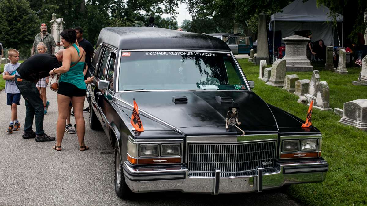 A Cadillac hearse converted into a ''Zombie Response Vehicle,'' draws a crowd at the ninth annual Hearse and Professional Vehicle Show Saturday at Laurel Hill Cemetery. (Brad Larrison for NewsWorks)