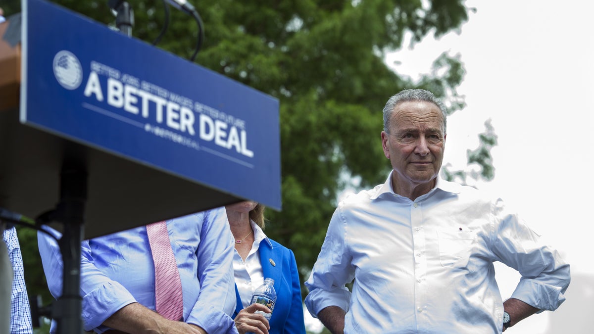  Senate Minority Leader Chuck Schumer of New York, joins fellow congressional Democrats as they unveil their new agenda, Monday, July 24, 2017, in a park in Berryville, Virginia. (AP Photo/Cliff Owen) 