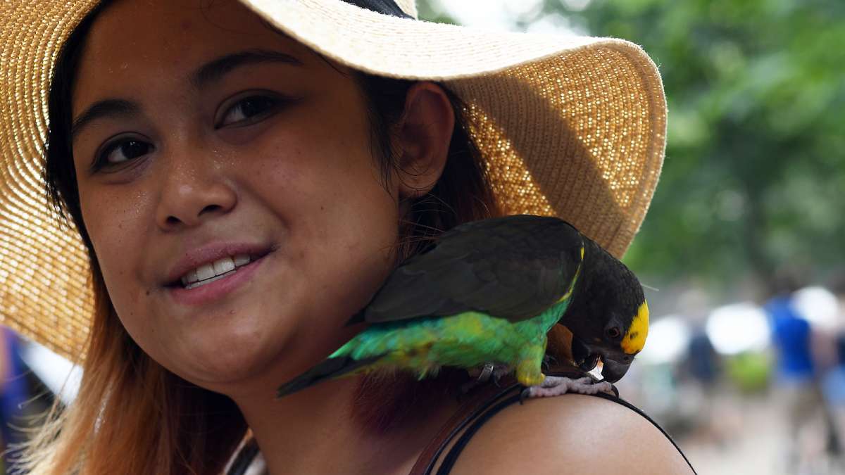 Kristin Buenaventura, of West Philadelphia, smiles as her pet-bird Pepino sits on her shoulder at the annual Clark Park Festival in West Philadelphia