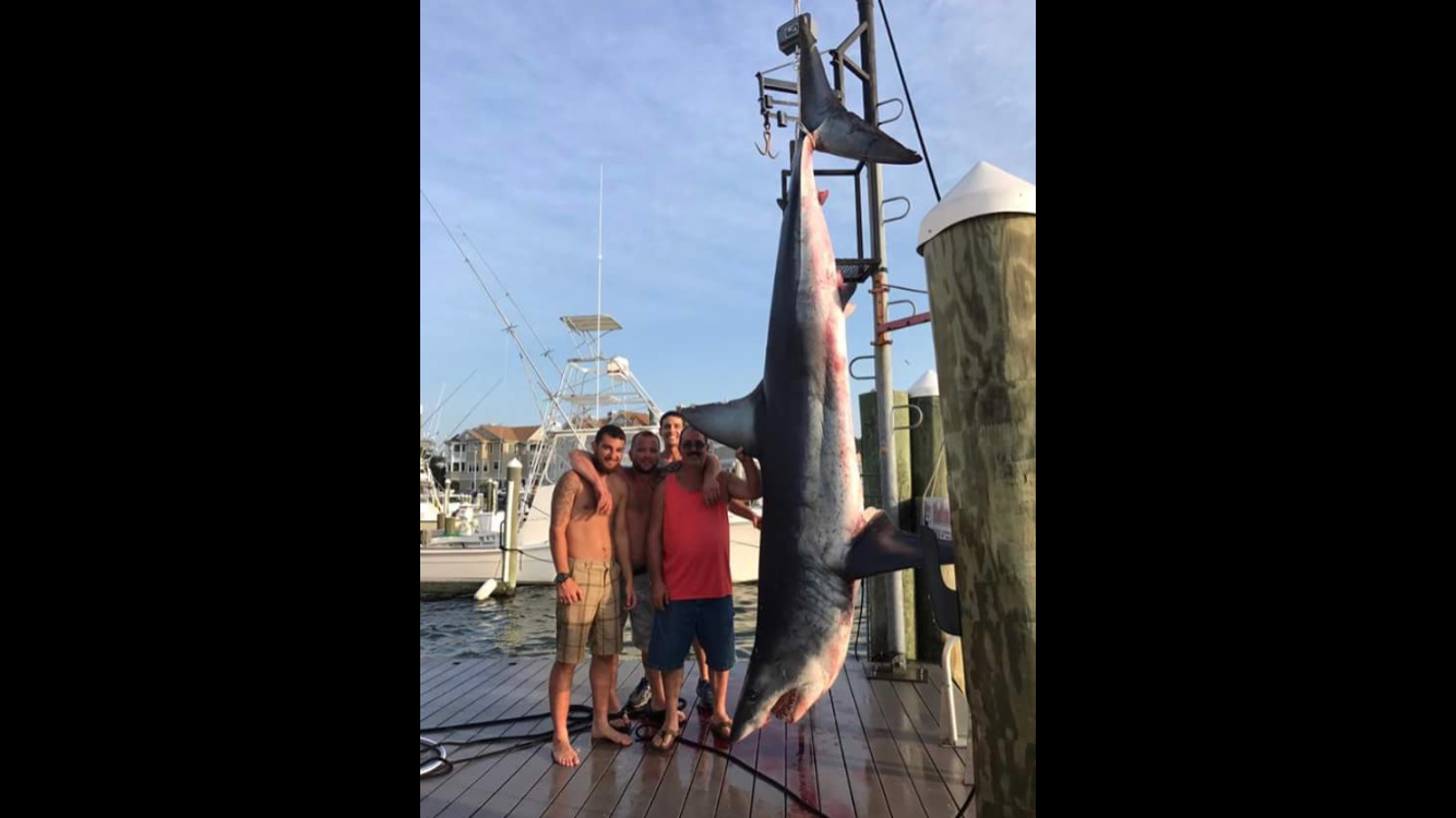 The Jenny Lee Sportfishing crew poses with the record breaking Mako shark in Brielle on Saturday. (Image: Jenny Lee Sportfishing)