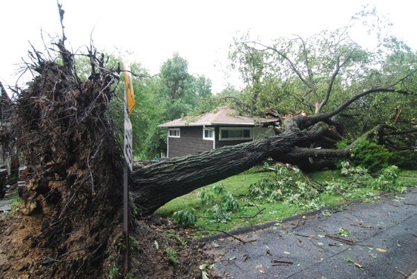 Heavy rains from Hurricane Irene uproot a tree in Edgemoor smashing into a home. (John Jankowski/For NewsWorks)
