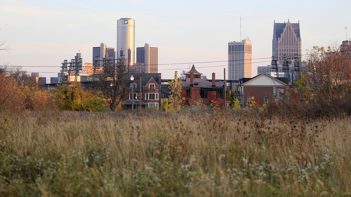  An empty field north of Detroit's downtown. On Thursday, July 18, 2013, Detroit filed the largest municipal bankruptcy case in American history. The city owes as much as $20 billion to banks, bondholders and pension funds. (AP Photo/Carlos Osorio, File) 