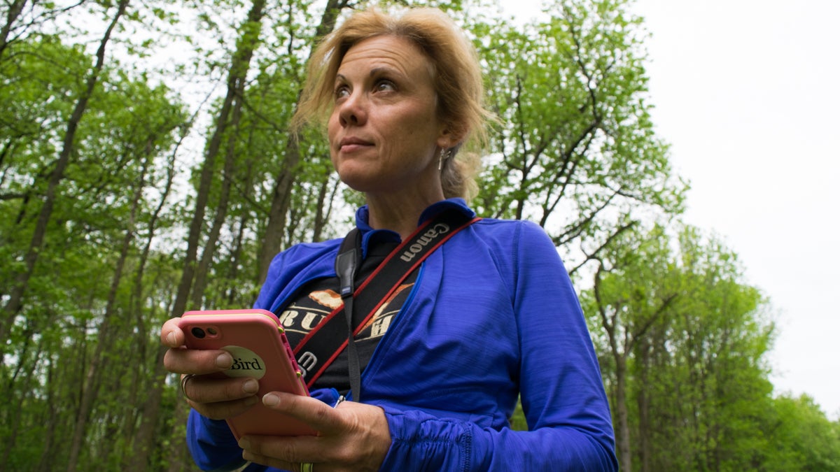  Holly Merker enters her bird count into the app, eBird. (Paige Pfleger/WHYY) 