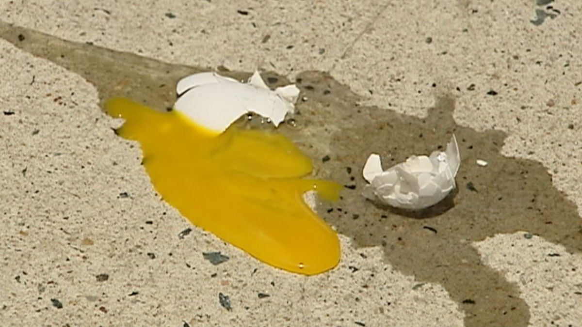  An egg that didn't survive the fall from the top of DCAD's five story building in downtown Wilmington as part of Thursday's annual egg drop. (Dan Rosenthal/WHYY) 