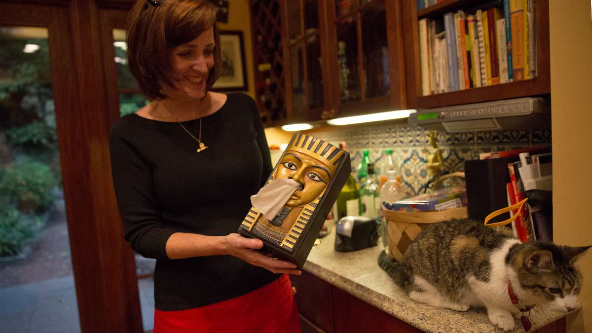 From King Tut tissue boxes to tchotchkes, the Wegners have amassed their collection from their travels to Egypt, antique stores, gifts, and Ebay.  (Lindsay Lazarski/WHYY) 