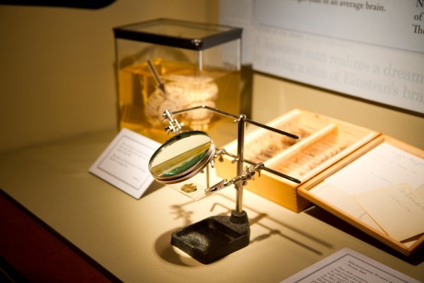 A beautiful mind: Einstein's brain samples on display at Mutter - WHYY