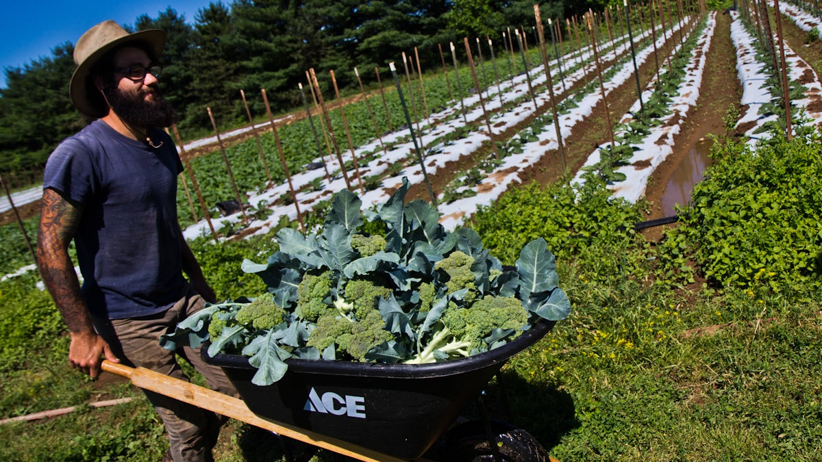  Frank Kurylo, 27,co-owns an organic farm with a partner but he is still paying off his student loan debt. (Kimberly Paynter/WHYY) 