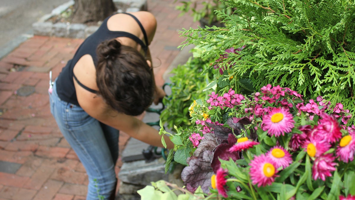  Elizabeth Jacoby quit her day job to turn her gardening skills into a business. (Emma Jacobs/WHYY) 