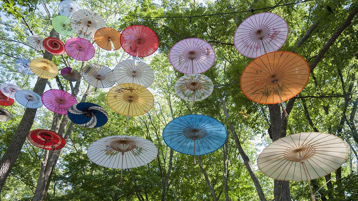 Colored parasols were suspended over Dulcimer Grove.
