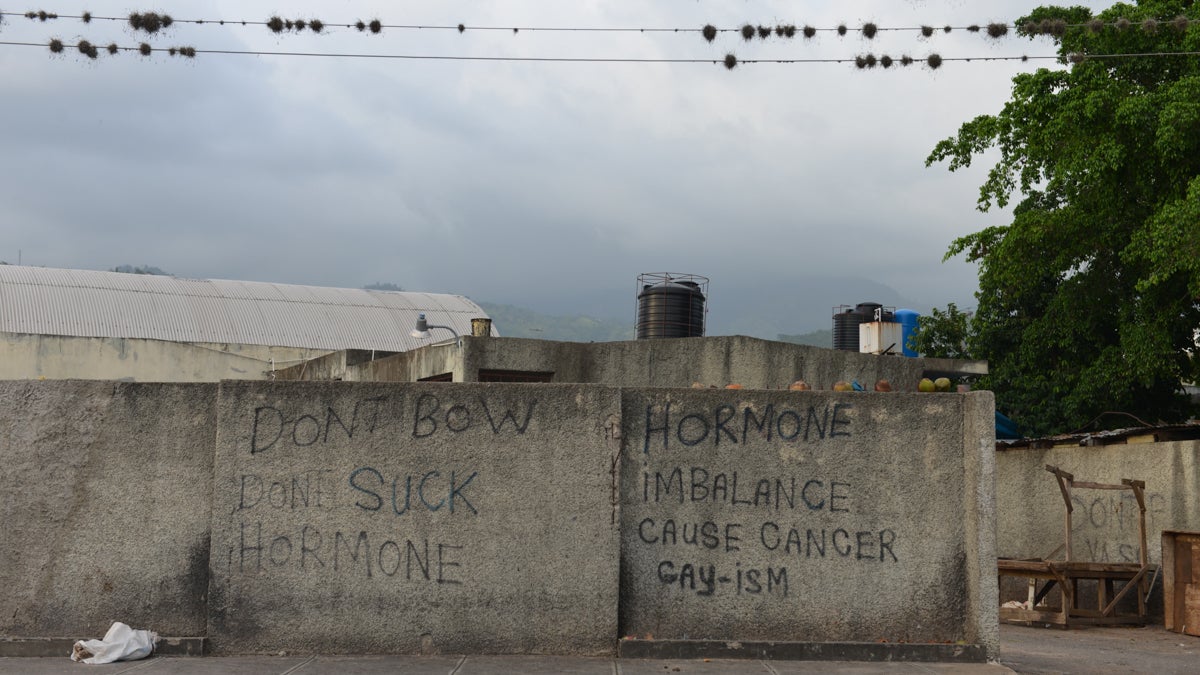 Street graffiti with an anti-gay message covers part of a privacy wall in a neighborhood in Jamaica. Advocates say much of the homophobia is fueled by a nearly 150-year-old anti-sodomy law that bans anal sex as well as by dancehall reggae performers who flaunt anti-gay themes. (AP Photo/David McFadden)