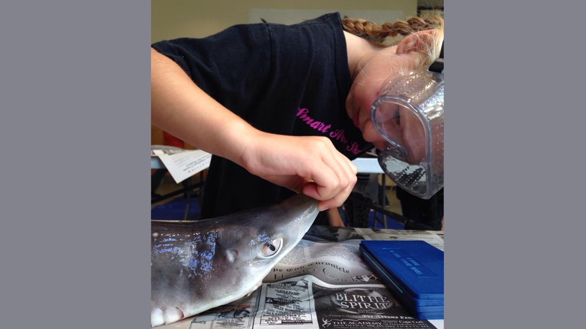 Lillian Peck looking a shark in the mouth during a Gills Club meeting. (Courtesy of Hillary Peck)