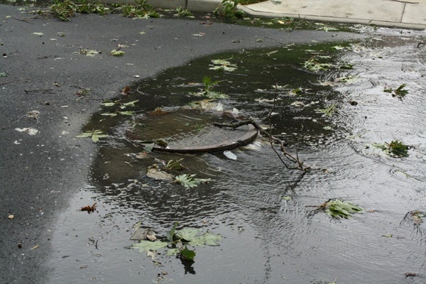 A sewer cover in Haddon Township New Jersey being pushed up by flood waters following Hurricane Irene.