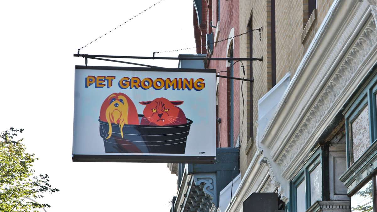 An Icy Sign at Best in Show Grooming Salon in Brewerytown. (Kimberly Paynter/WHYY)