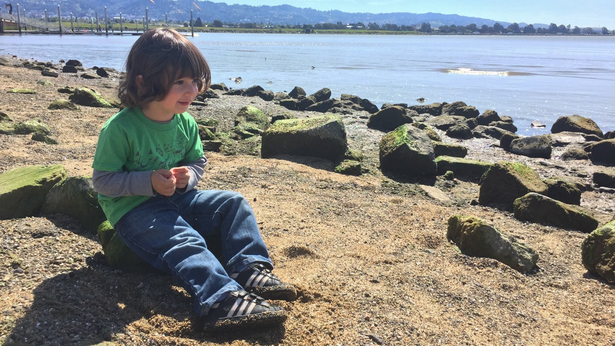 Research show keeping a journal about things we’re grateful for makes us happier, and that’s good for our health. Reporter Shuka Kalantari shares journaling about skipping rocks on the beach with her toddler makes happy. (Shuka Kalantari/for WHYY)