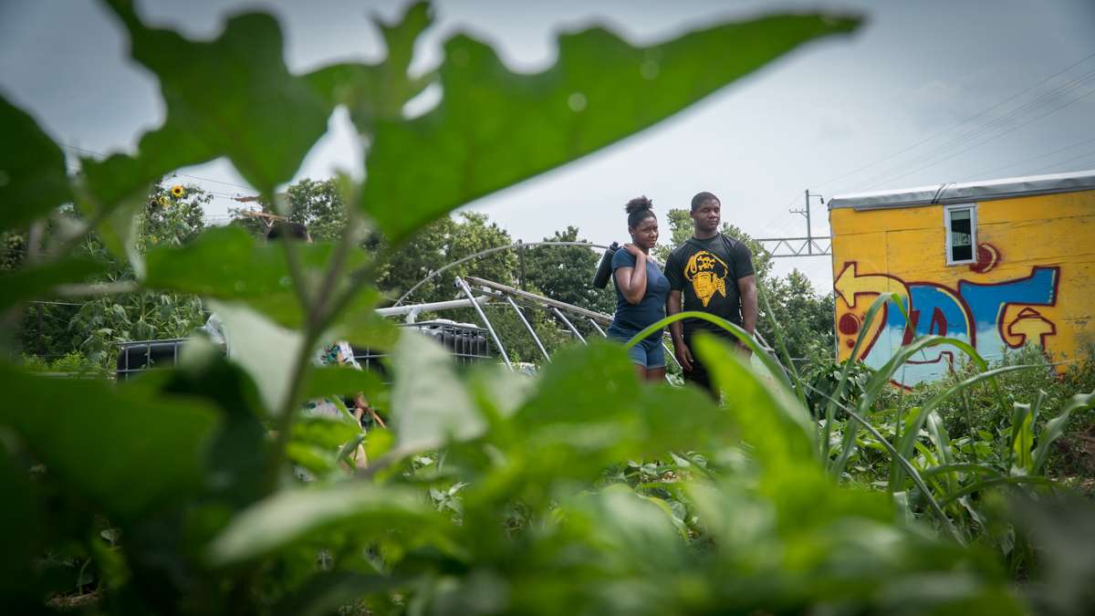 Festival goers walk through the Life Do Grow Farm