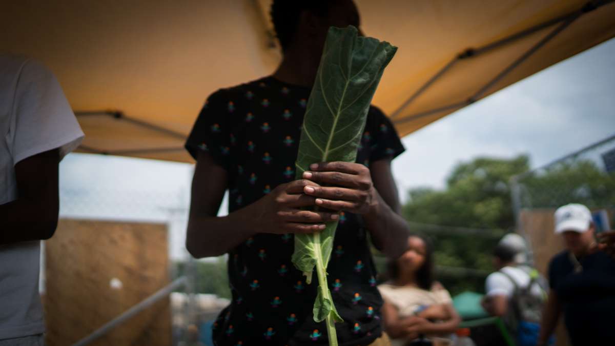 Members of Life Do Grow Farm sell greens at the 4th annual Hoodstock Festival in North Philadelphia on July 22, 2017.