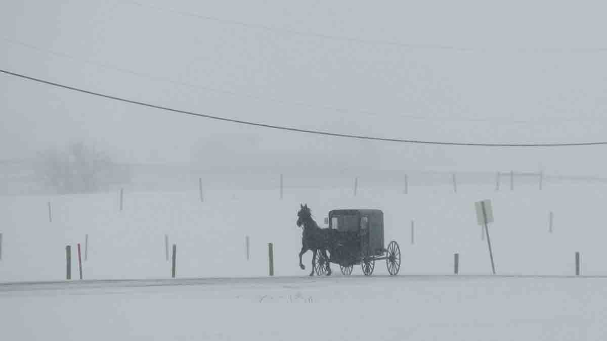  A horse and buggy drive through a winter snow storm, Tuesday, March 14, 2017, in Gap, Pa. (AP Photo/Matt Slocum) 