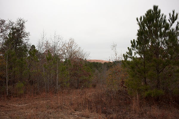 The landfill peaks through the trees by Ron Smith's house, several miles away