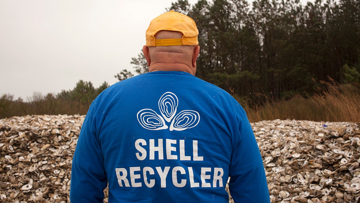 Dave Ritondo makes rounds to more than a dozen restaurants on the Delaware coast, collecting oyster shells to recycle. (Irina Zhorov/The Pulse)