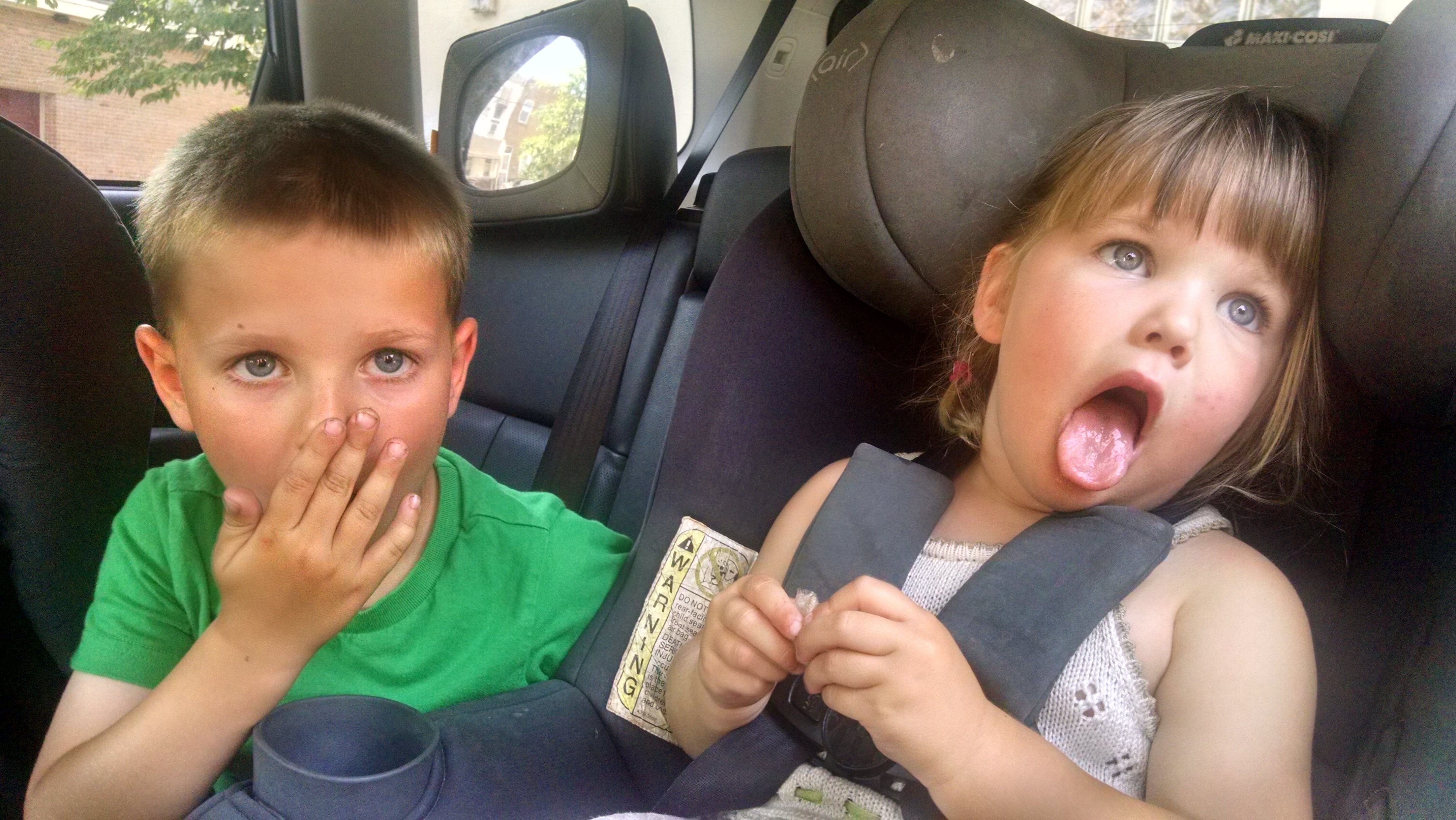  Aine Mazer with her brother Diarmuid. Aine sometimes get car sick. (Courtesy of Laurie Mazer) 